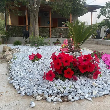 Holidayhomepalma Holiday home *