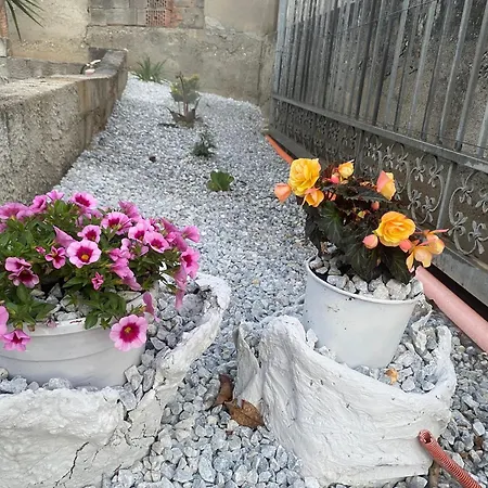 Holidayhomepalma